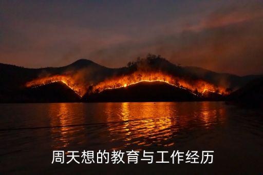  周天想的教育與工作經歷