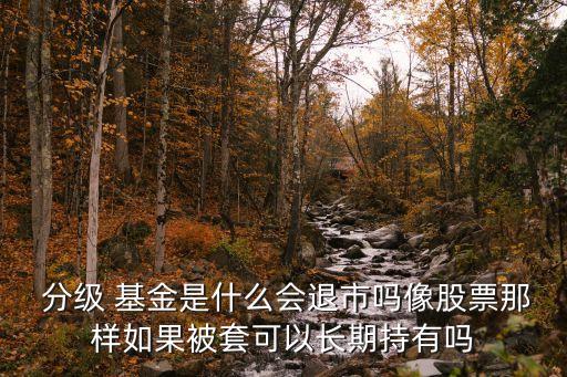 分級基金股價,基金操縱股價違規嗎