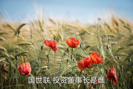 國世聯 投資董事長是誰
