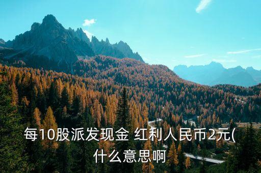 每10股派發現金 紅利人民幣2元(什么意思啊