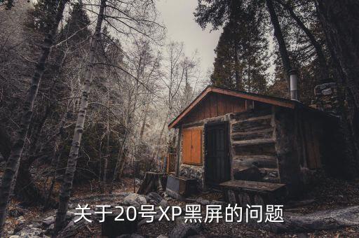中國政府對微軟產品的幫助