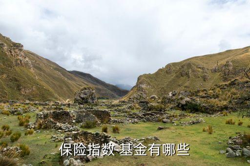 保險指數 基金有哪些