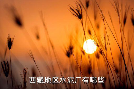 西藏地區水泥廠有哪些