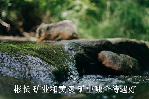 陜西彬長礦業集團有限公司煤化工公司,2、陜西彬長礦業集團有限公司