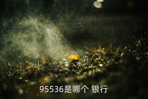 印尼國信銀行,葫蘆島市國信村鎮銀行
