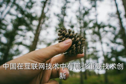 中國在互聯網技術中有哪些重要技術創新