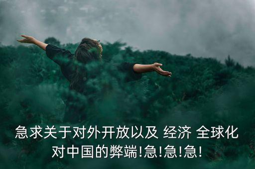 中國參與經濟全球化的反思,反思經濟全球化社會透視討論