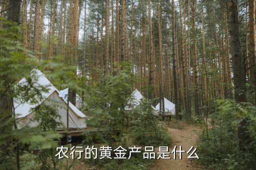 農行的黃金產品是什么