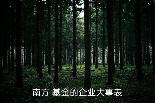 南方 基金的企業大事表