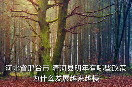 河北省邢臺市 清河縣明年有哪些政策為什么發展越來越慢