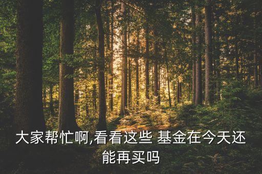 大家幫忙啊,看看這些 基金在今天還能再買嗎