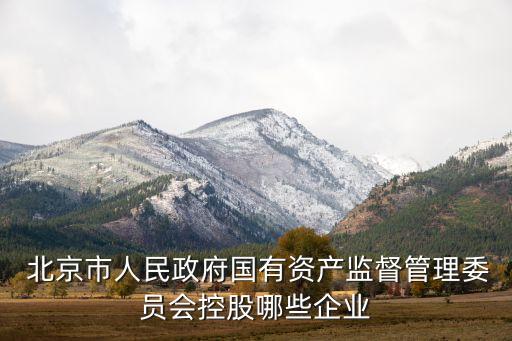  北京市人民政府國有資產(chǎn)監(jiān)督管理委員會(huì)控股哪些企業(yè)