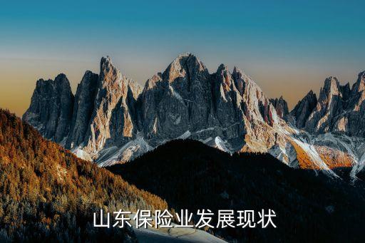  山東保險業發展現狀