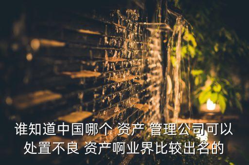 誰知道中國哪個 資產 管理公司可以處置不良 資產啊業界比較出名的