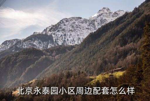  北京永泰園小區周邊配套怎么樣