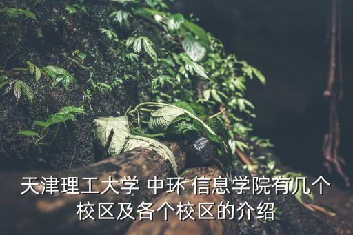 天津理工大學 中環 信息學院有幾個校區及各個校區的介紹