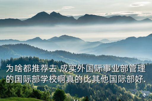 為啥都推薦去 成實外國際事業部管理的國際部學校啊真的比其他國際部好...