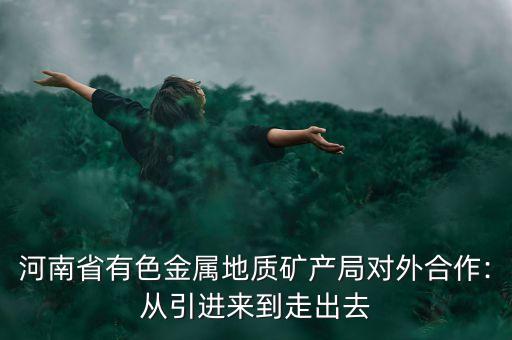 河南省有色金屬地質礦產局對外合作:從引進來到走出去