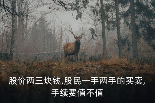 股價兩三塊錢,股民一手兩手的買賣,手續費值不值