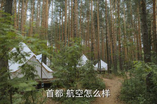 漢華公務機航空有限公司,深圳首領航空公務機科技發展有限公司
