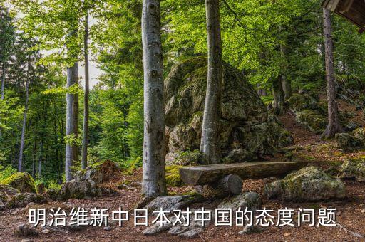 明治維新中日本對中國的態度問題