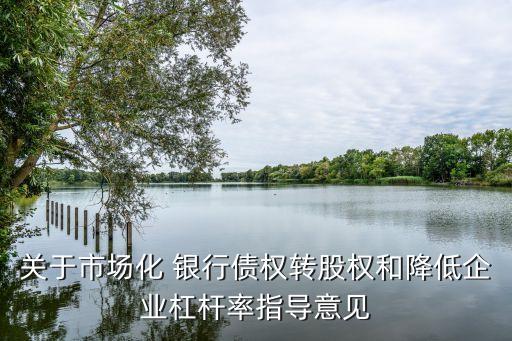 關于市場化 銀行債權轉股權和降低企業杠桿率指導意見