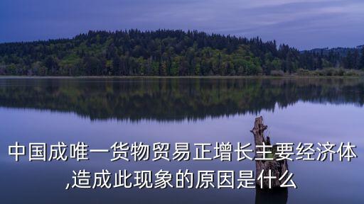 中國成唯一貨物貿易正增長主要經濟體,造成此現象的原因是什么