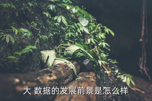 大 數據的發展前景是怎么樣