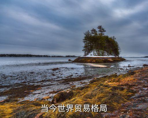 當今世界貿易格局