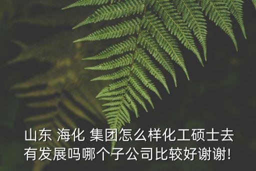  山東 海化 集團怎么樣化工碩士去有發展嗎哪個子公司比較好謝謝!
