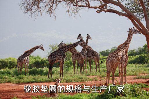橡膠墊圈的規格與生產廠家