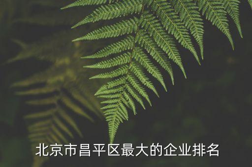  北京市昌平區最大的企業排名