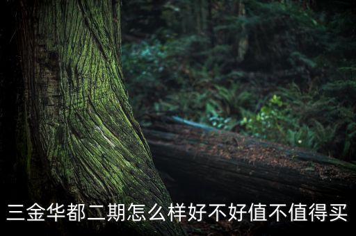 武漢金墩置業發展有限公司簡介