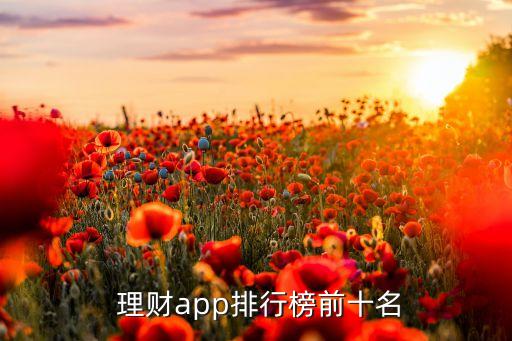 中國最受歡迎互聯(lián)網(wǎng)金融理財(cái)