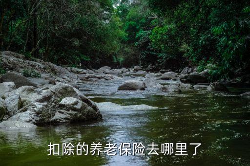 中國養老金去哪了,中國個人養老金制度