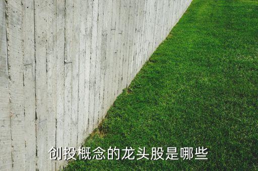 上海星通創業投資管理中心