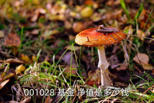 華安保利基金最新凈值,華安優選 040008 基金凈值