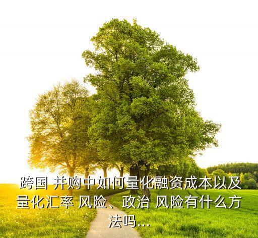  跨國 并購中如何量化融資成本以及量化匯率 風險、政治 風險有什么方法嗎...