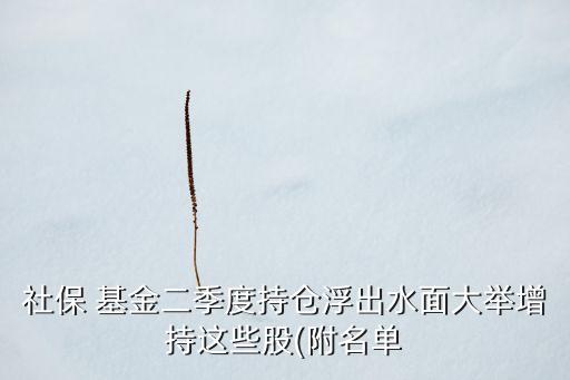 社保 基金二季度持倉浮出水面大舉增持這些股(附名單