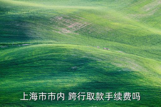 上海市市內 跨行取款手續費嗎
