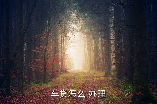 車(chē)貸怎么 辦理