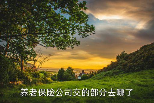 養老保險公司交的部分去哪了