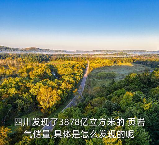 四川發現了3878億立方米的 頁巖氣儲量,具體是怎么發現的呢