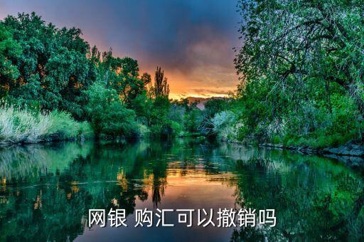 網銀 購匯可以撤銷嗎