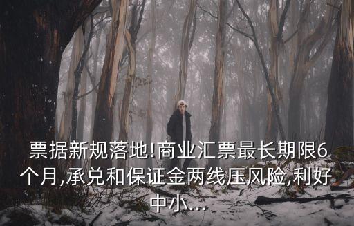  票據新規落地!商業匯票最長期限6個月,承兌和保證金兩線壓風險,利好中小...