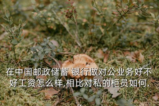 在中國郵政儲蓄 銀行做對公業務好不好工資怎么樣,相比對私的柜員如何...