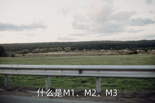 什么是M1、M2、M3