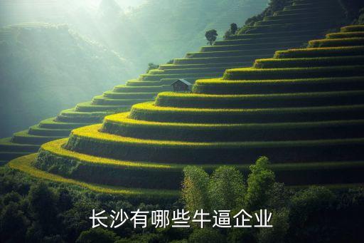 長沙有哪些牛逼企業