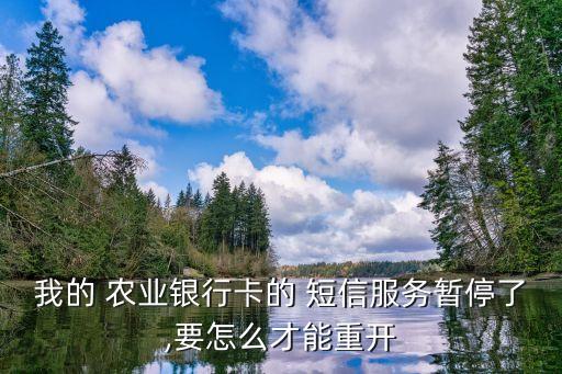 我的 農業(yè)銀行卡的 短信服務暫停了,要怎么才能重開