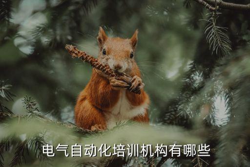 上海一策電氣網站,上海策能電氣有限公司